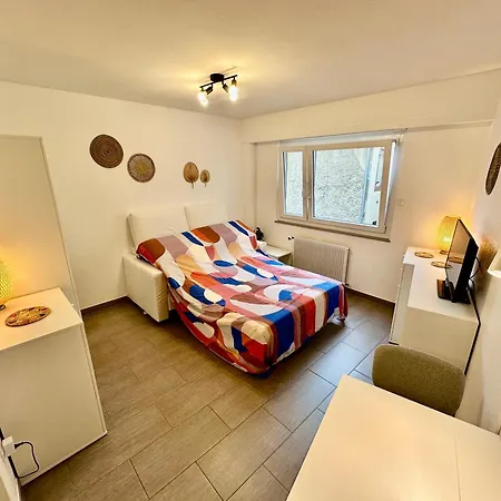 Апартаменты Cosy Centre Виссамбур