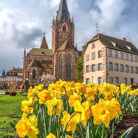 Apartment Cosy Centre Wissembourg