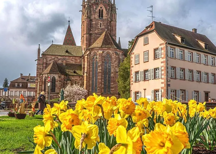 Appartement Cosy Centre Wissembourg